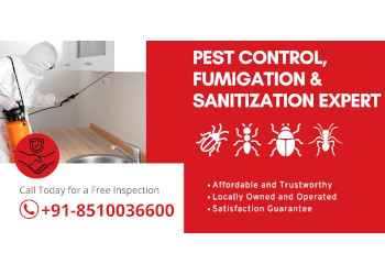 Pest-free-services-Pest-control-services-Kavi-nagar-ghaziabad-Uttar-pradesh-1