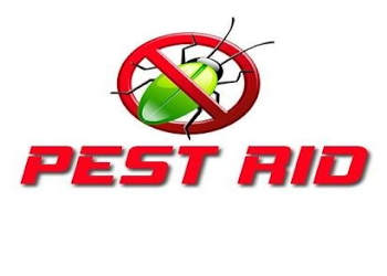 Pest-rid-Pest-control-services-Anna-nagar-chennai-Tamil-nadu-1