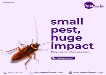 Pest-safe-initial-private-limited-Pest-control-services-Raj-nagar-ghaziabad-Uttar-pradesh-2