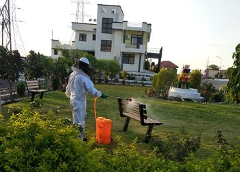 Pest-solutions-india-pvt-ltd-Pest-control-services-Bairagarh-bhopal-Madhya-pradesh-2