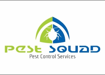 Pest-squad-Pest-control-services-Hampankatta-mangalore-Karnataka-1