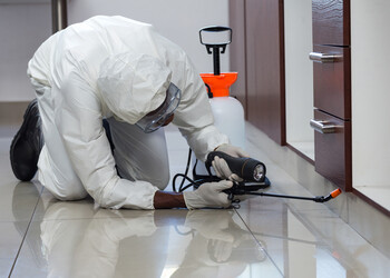 Pestasia-Pest-control-services-Kochi-Kerala-2