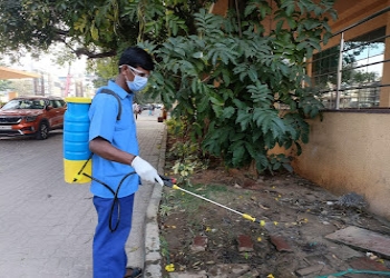 Pesterad-services-Pest-control-services-Banashankari-bangalore-Karnataka-2