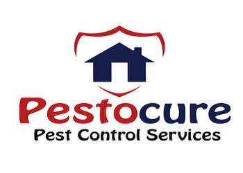 Pestocure-pest-control-services-nizampet-Pest-control-services-Hitech-city-hyderabad-Telangana-1