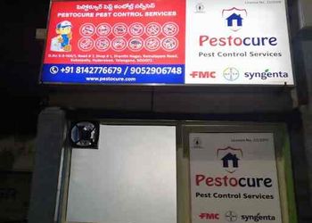 Pestocure-pest-control-services-Pest-control-services-Hyderabad-Telangana-1