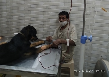 Pet-care-clinic-Veterinary-hospitals-Civil-lines-raipur-Chhattisgarh-3