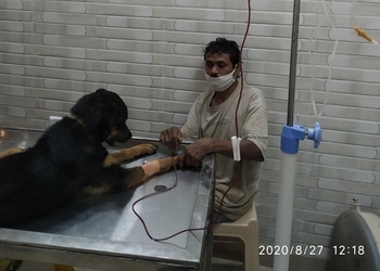 Pet-care-clinic-Veterinary-hospitals-Shankar-nagar-raipur-Chhattisgarh-3