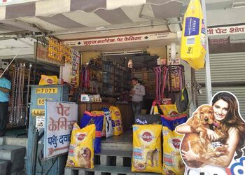 3 Best Pet Shops in Indore, MP - ThreeBestRated