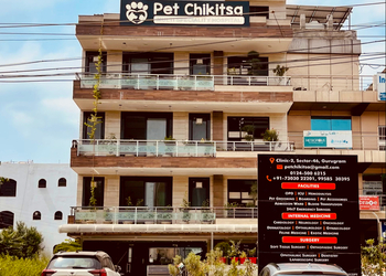 Pet-chikitsa-veterinary-hospital-Veterinary-hospitals-Cyber-city-gurugram-Haryana-1