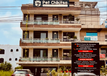 Pet-chikitsa-veterinary-hospital-Veterinary-hospitals-Sector-40-gurugram-Haryana-1