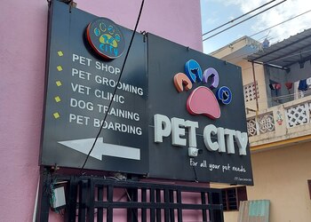 Pet-city-Pet-stores-Oulgaret-pondicherry-Puducherry-1