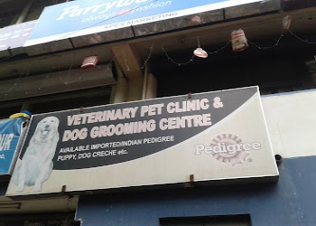 Pet-clinic-shillong-Veterinary-hospitals-Shillong-Meghalaya-1