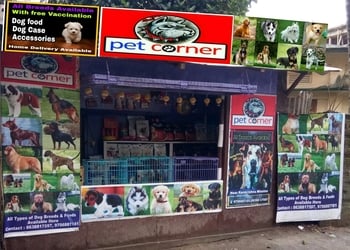 Pet-corner-Pet-stores-Silchar-Assam