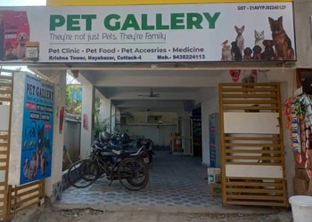 Pet-gallery-Pet-stores-Choudhury-bazar-cuttack-Odisha-1