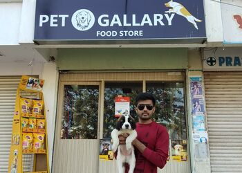 Pet-gallery-Pet-stores-Kalavad-Gujarat-1