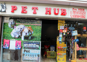 Pet-hub-Pet-stores-Talwandi-kota-Rajasthan-1