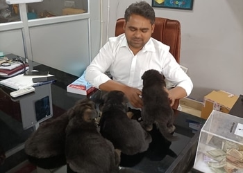 Pet-lovers-care-and-clinic-Veterinary-hospitals-Allahabad-junction-allahabad-prayagraj-Uttar-pradesh-2