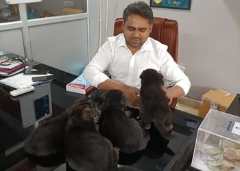 Pet-lovers-care-and-clinic-Veterinary-hospitals-George-town-allahabad-prayagraj-Uttar-pradesh-2