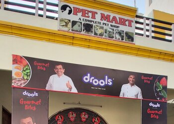 Pet-mart-Pet-stores-Bhopal-Madhya-pradesh-1