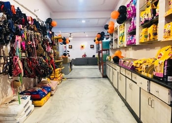 Pet-o-mania-Pet-stores-Indira-nagar-lucknow-Uttar-pradesh-2