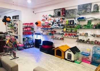 Pet-o-mania-Pet-stores-Indira-nagar-lucknow-Uttar-pradesh-3