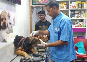 Pet-ozone-pet-clinic-Veterinary-hospitals-Pimpri-chinchwad-Maharashtra-2