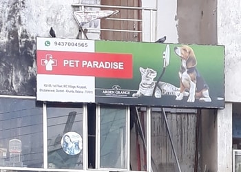 Pet-paradise-Pet-stores-Baramunda-bhubaneswar-Odisha-1