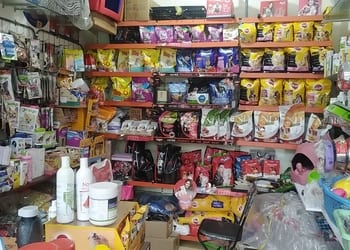 Pet-paradise-Pet-stores-Ganga-nagar-meerut-Uttar-pradesh-2