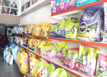 Pet-passion-Pet-stores-Aurangabad-Maharashtra-3