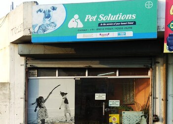 Pet-solutions-Pet-stores-Rohtak-Haryana-1