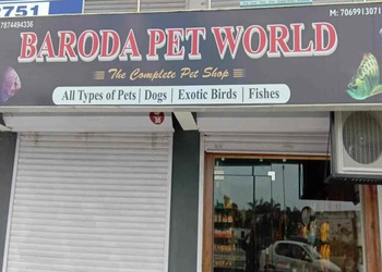 Pet-world-Pet-stores-Fatehgunj-vadodara-Gujarat-1