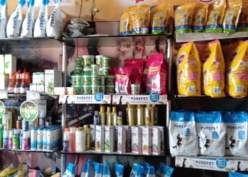 Pet-world-Pet-stores-Nehru-nagar-bilaspur-Chhattisgarh-2