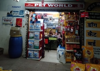 Pet-world-Pet-stores-Vyapar-vihar-bilaspur-Chhattisgarh-1