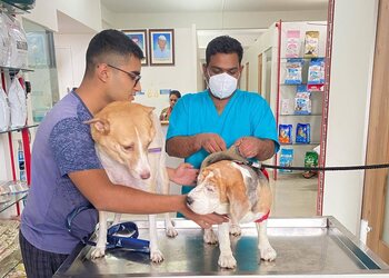 Petaegis-veterinary-clinic-Veterinary-hospitals-Pune-Maharashtra-2