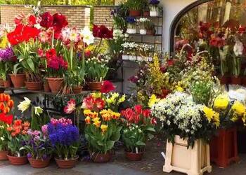Petals-florist-Flower-shops-Tiruppur-Tamil-nadu-2