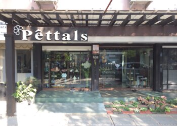 Petals-Flower-shops-Nagpur-Maharashtra-1