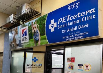 Petcetera-small-animal-clinic-Veterinary-hospitals-Bhosari-pune-Maharashtra-1