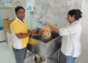 Petcetera-small-animal-clinic-Veterinary-hospitals-Bhosari-pune-Maharashtra-3