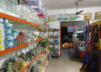 Best Pet Shop in Noida for Pet Accessories - Doon Pet Shop