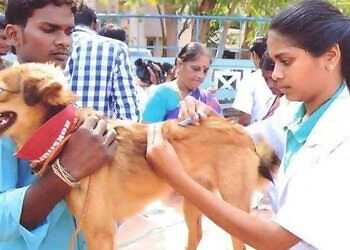 Pets-clinic-Veterinary-hospitals-Thampanoor-thiruvananthapuram-Kerala-2