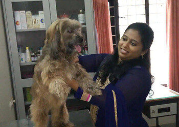 Pets-clinic-Veterinary-hospitals-Thampanoor-thiruvananthapuram-Kerala-3