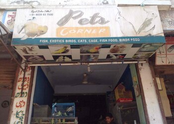 Pets-corner-Pet-stores-Aurangabad-Maharashtra-1
