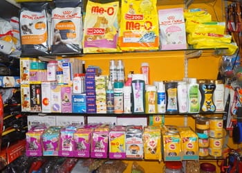 Pets-for-you-Pet-stores-Belgaum-belagavi-Karnataka-3
