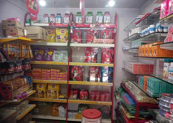 Pets-gallery-Pet-stores-Jabalpur-Madhya-pradesh-2