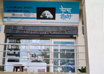 Pets-gallery-Pet-stores-Nanded-Maharashtra-1