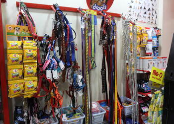 Pets-gallery-Pet-stores-Solapur-Maharashtra-2