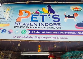 Pets-heaven-indore-Pet-stores-Indore-Madhya-pradesh-1