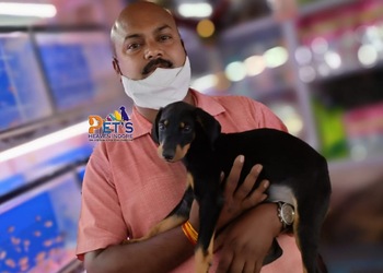 Pets-heaven-indore-Pet-stores-Indore-Madhya-pradesh-3