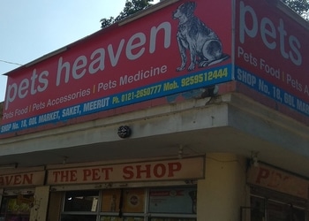 Pets-heaven-Pet-stores-Meerut-Uttar-pradesh-1