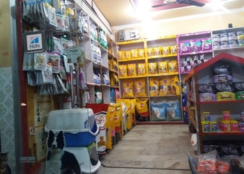 Pets-heaven-Pet-stores-Meerut-Uttar-pradesh-2